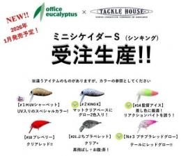 <img class='new_mark_img1' src='https://img.shop-pro.jp/img/new/icons1.gif' style='border:none;display:inline;margin:0px;padding:0px;width:auto;' />�ڤ�ͽ���ʡ�2026ǯ1������ͽ��ۡڥ���ܥ����ƥࡪ�ۥߥ˥���������S office eucalyptus��TACKLE HOUSE/���ե������桼����ߥ��å���ϥ���