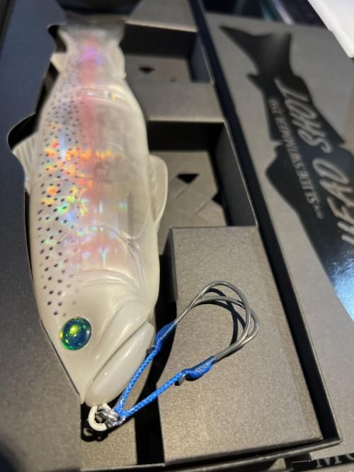 2025モデルは内部構造激変】new SLIDESWIMMER 250 HEAD SHOT