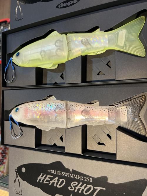 2025モデルは内部構造激変】new SLIDESWIMMER 250 HEAD SHOT