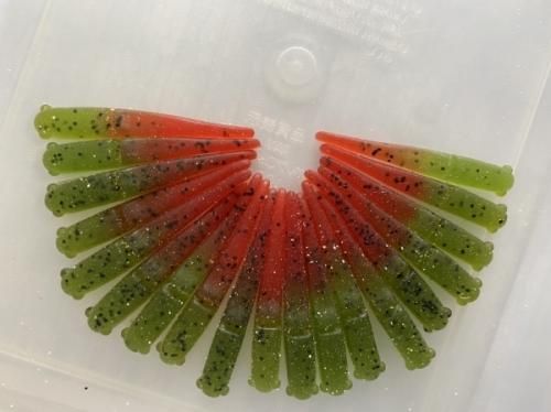 10FTUデビュー作のプリシャ！】プリティーシャッド(Pretty Shad