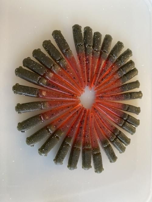 10FTUデビュー作のプリシャ！】プリティーシャッド(Pretty Shad