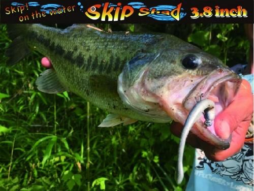 NEWサイズ3.8インチ入荷!】【4パックまでネコポス便OK】Skip NEWサイズ3.8インチ入荷!】【4パックまでネコポス便OK】Skip