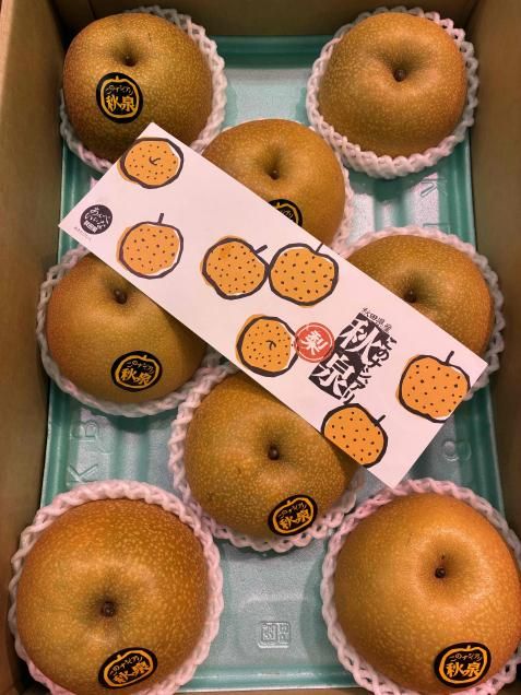 <img class='new_mark_img1' src='https://img.shop-pro.jp/img/new/icons1.gif' style='border:none;display:inline;margin:0px;padding:0px;width:auto;' /><span style="color:#FF0000">ָ</span>ʤ夦ˡ9