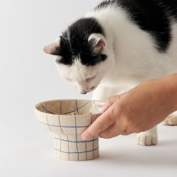 <img class='new_mark_img1' src='https://img.shop-pro.jp/img/new/icons60.gif' style='border:none;display:inline;margin:0px;padding:0px;width:auto;' />CAT FOOD BOWL