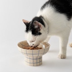 CAT FOOD BOWL