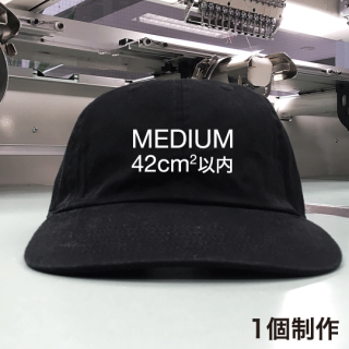 Mediumɽ NEWHATTAN1400(TWILL) 1 4500ߡ Dad Hatʥåȥϥåȡ