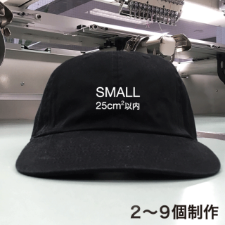 Smallɽ NEWHATTAN1400(TWILL) 29 2500ߡ Dad Hatʥåȥϥåȡ