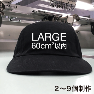 Largeɽ NEWHATTAN1400(TWILL) 29 2800ߡ Dad Hatʥåȥϥåȡ