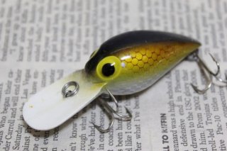 STORM WIGGLE WART V4 Yellow Scale
