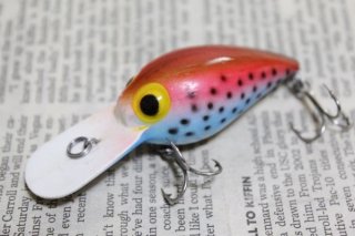 STORM WIGGLE WART V41 Rainbow Trout