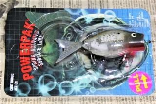 Amazon.co.jp: ソフトワームルアー | 45mm バス釣りルアー | 2.4
