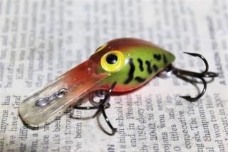 STORM PEE WEE WART