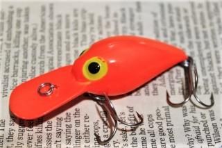 STORM WIGGLE WART