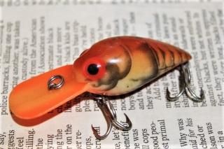 STORM WIGGLE WART