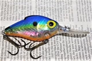 STORM LIGHTNIN' SHAD