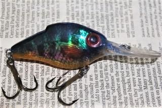 STORM LIGHTNIN' SHAD