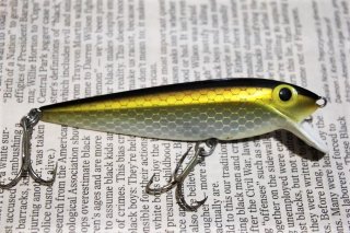 STORM THINFIN SHINER MINNOW