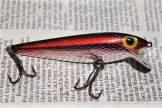STORM THINFIN SHINER MINNOW