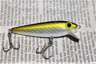 STORM THINFIN SHINER MINNOW