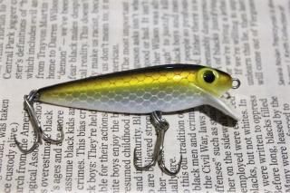 STORM THINFIN SHINER MINNOW