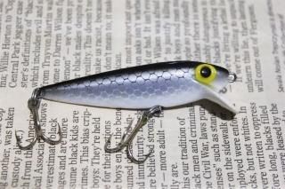 STORM THINFIN SHINER MINNOW