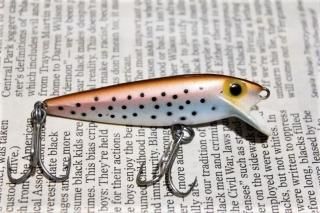 STORM THINFIN SHINER MINNOW