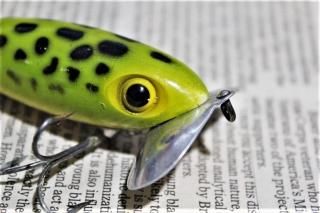 FRED ARBOGAST JITTERBUG 5/8oz