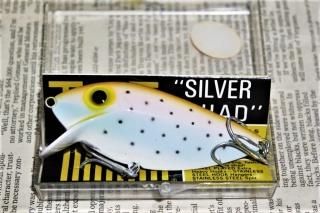 <img class='new_mark_img1' src='https://img.shop-pro.jp/img/new/icons13.gif' style='border:none;display:inline;margin:0px;padding:0px;width:auto;' />STORM THINFIN SILVER SHAD [SINKER]