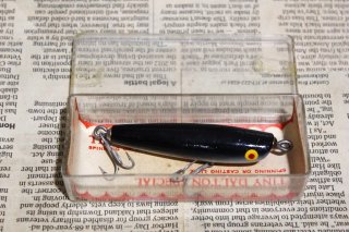 <img class='new_mark_img1' src='https://img.shop-pro.jp/img/new/icons13.gif' style='border:none;display:inline;margin:0px;padding:0px;width:auto;' />BARRACUDA Tiny Dalton Special