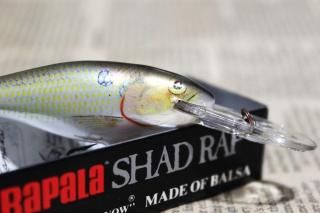 <img class='new_mark_img1' src='https://img.shop-pro.jp/img/new/icons13.gif' style='border:none;display:inline;margin:0px;padding:0px;width:auto;' />RAPALA SHAD RAP