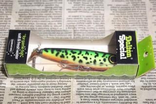 <img class='new_mark_img1' src='https://img.shop-pro.jp/img/new/icons13.gif' style='border:none;display:inline;margin:0px;padding:0px;width:auto;' />BARRACUDA Dalton Special