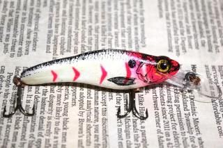 <img class='new_mark_img1' src='https://img.shop-pro.jp/img/new/icons13.gif' style='border:none;display:inline;margin:0px;padding:0px;width:auto;' />CRANKBAIT.CO Fingerling