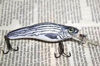 <img class='new_mark_img1' src='https://img.shop-pro.jp/img/new/icons13.gif' style='border:none;display:inline;margin:0px;padding:0px;width:auto;' />CRANKBAIT.CO Fingerling