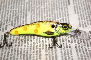 <img class='new_mark_img1' src='https://img.shop-pro.jp/img/new/icons13.gif' style='border:none;display:inline;margin:0px;padding:0px;width:auto;' />CRANKBAIT.CO Fingerling