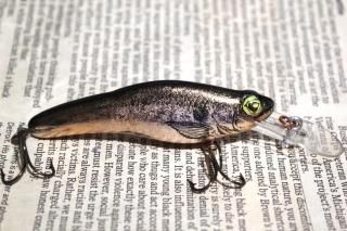 <img class='new_mark_img1' src='https://img.shop-pro.jp/img/new/icons13.gif' style='border:none;display:inline;margin:0px;padding:0px;width:auto;' />CRANKBAIT.CO Fingerling