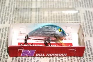 <img class='new_mark_img1' src='https://img.shop-pro.jp/img/new/icons13.gif' style='border:none;display:inline;margin:0px;padding:0px;width:auto;' />Bill Norman Quarterback