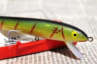 <img class='new_mark_img1' src='https://img.shop-pro.jp/img/new/icons13.gif' style='border:none;display:inline;margin:0px;padding:0px;width:auto;' />COTTON CORDELL RED-FIN
