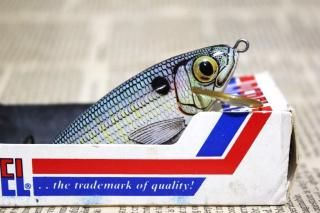 <img class='new_mark_img1' src='https://img.shop-pro.jp/img/new/icons13.gif' style='border:none;display:inline;margin:0px;padding:0px;width:auto;' />REBEL BAITFISH [Suprantural]