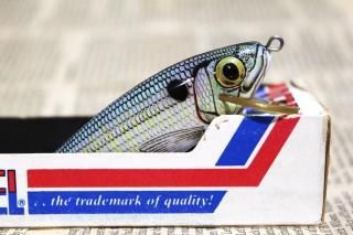 <img class='new_mark_img1' src='https://img.shop-pro.jp/img/new/icons13.gif' style='border:none;display:inline;margin:0px;padding:0px;width:auto;' />REBEL BAITFISH [Suprantural]