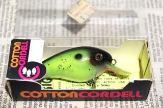 <img class='new_mark_img1' src='https://img.shop-pro.jp/img/new/icons13.gif' style='border:none;display:inline;margin:0px;padding:0px;width:auto;' />COTTON CORDELL BIG-O