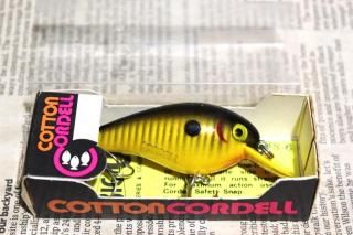 <img class='new_mark_img1' src='https://img.shop-pro.jp/img/new/icons13.gif' style='border:none;display:inline;margin:0px;padding:0px;width:auto;' />COTTON CORDELL BIG-O