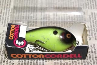 <img class='new_mark_img1' src='https://img.shop-pro.jp/img/new/icons13.gif' style='border:none;display:inline;margin:0px;padding:0px;width:auto;' />COTTON CORDELL BIG-O