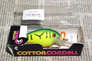 <img class='new_mark_img1' src='https://img.shop-pro.jp/img/new/icons13.gif' style='border:none;display:inline;margin:0px;padding:0px;width:auto;' />COTTON CORDELL DEEP BIG-O