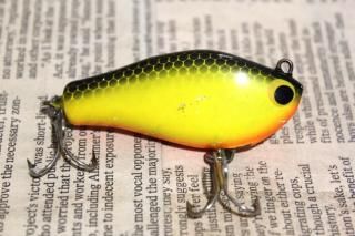 <img class='new_mark_img1' src='https://img.shop-pro.jp/img/new/icons13.gif' style='border:none;display:inline;margin:0px;padding:0px;width:auto;' />bagley's Shiner