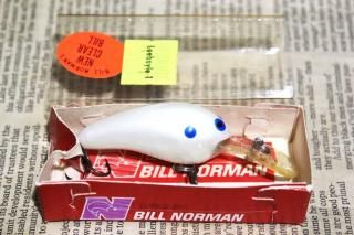<img class='new_mark_img1' src='https://img.shop-pro.jp/img/new/icons13.gif' style='border:none;display:inline;margin:0px;padding:0px;width:auto;' />Bill Norman Deep Baby N