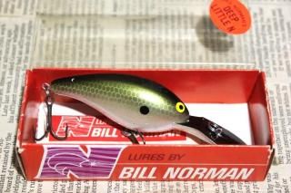 <img class='new_mark_img1' src='https://img.shop-pro.jp/img/new/icons13.gif' style='border:none;display:inline;margin:0px;padding:0px;width:auto;' />Bill Norman Deep Little N