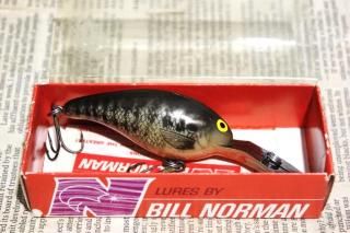 <img class='new_mark_img1' src='https://img.shop-pro.jp/img/new/icons13.gif' style='border:none;display:inline;margin:0px;padding:0px;width:auto;' />Bill Norman Deep Little N