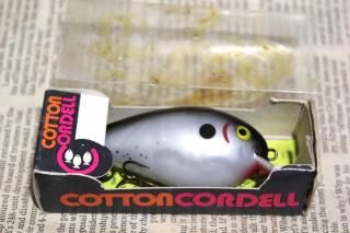 <img class='new_mark_img1' src='https://img.shop-pro.jp/img/new/icons13.gif' style='border:none;display:inline;margin:0px;padding:0px;width:auto;' />COTTON CORDELL BIG-O