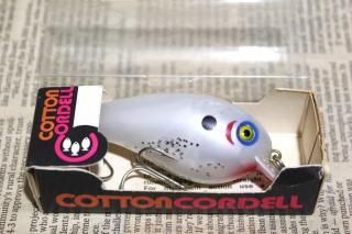 <img class='new_mark_img1' src='https://img.shop-pro.jp/img/new/icons13.gif' style='border:none;display:inline;margin:0px;padding:0px;width:auto;' />COTTON CORDELL BIG-O