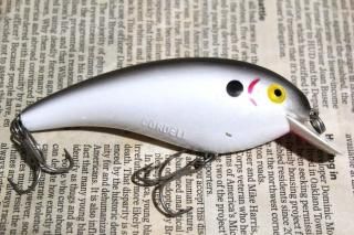 <img class='new_mark_img1' src='https://img.shop-pro.jp/img/new/icons13.gif' style='border:none;display:inline;margin:0px;padding:0px;width:auto;' />COTTON CORDELL BIG-O